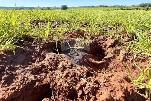 Slider Image Thumbnail