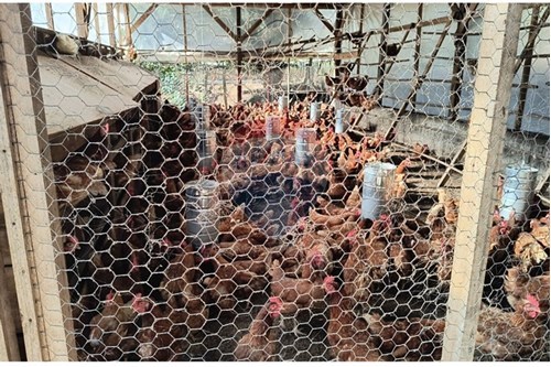 Slider Image Thumbnail