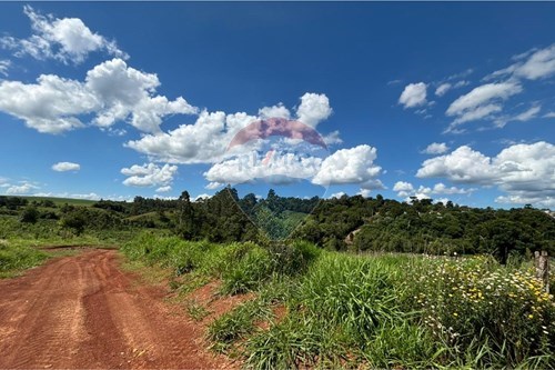 Venda-Terreno-Centro , Constantina , Rio Grande do Sul , 99680000-610341005-90