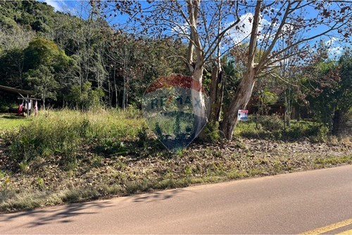 Venda-Terreno-Linha Santa Cruz , Santa Cruz do Sul , Rio Grande do Sul , 96822700-612741054-6