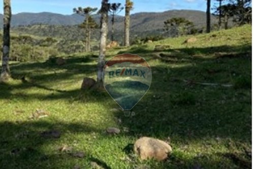 Venda-Terreno-Rua David Sartori , 26  - Alfândega , Garibaldi , Rio Grande do Sul , 95720000-610331038-186