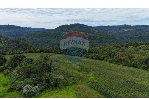 Venda-Chácara / Sítio / Fazenda-Estrada do Carazal , S/N  - PROXIMO A SOCIEDADE REUNIDAS MARCONDES  - Marcondes , Gramado , Rio Grande do Sul , 95679899-610131034-44
