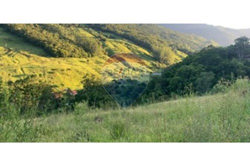 Venda-Terreno-Boa União , Três Forquilhas , Rio Grande do Sul , 95575000-612671028-71