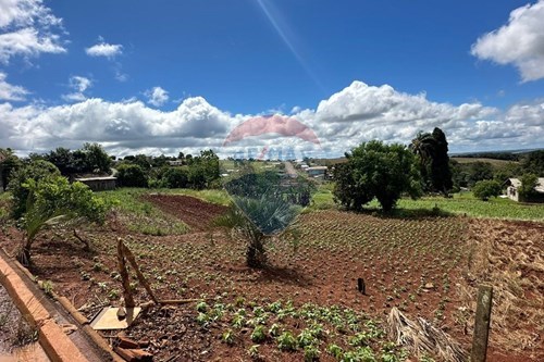 Venda-Terreno-Centro , Três Palmeiras , Rio Grande do Sul , 99678000-610231038-3