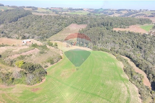 Venda-Chácara / Sítio / Fazenda-Trindade do Sul , Trindade do Sul , Rio Grande do Sul , 99615000-610231004-94