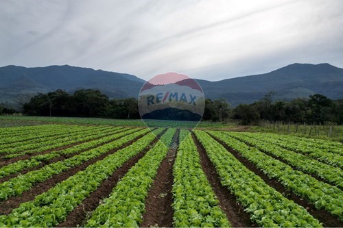 Venda-Terreno-Centro , Terra de Areia , Rio Grande do Sul , 95535000-612671028-46