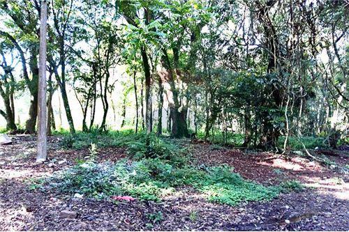 For Sale-Land-Rua Padre Aloísio Weber , Lote 30  - Bosque Lucas Araujo  - Lucas Araújo , Passo Fundo , Rio Grande do Sul , 99074-180-610271019-53