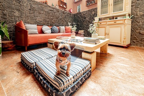 Slider Image Thumbnail