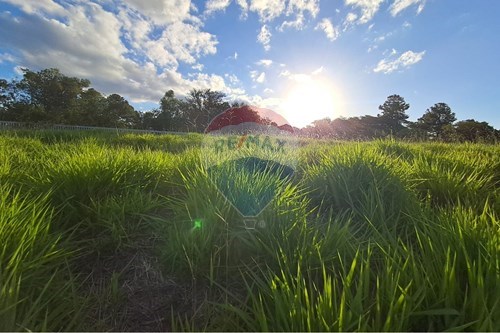 Venda-Terreno-Estrada Caminho do Meio , 3073  - Green Parque Jardim  - Vila Augusta , Viamão , Rio Grande do Sul , 94515000-612531034-104