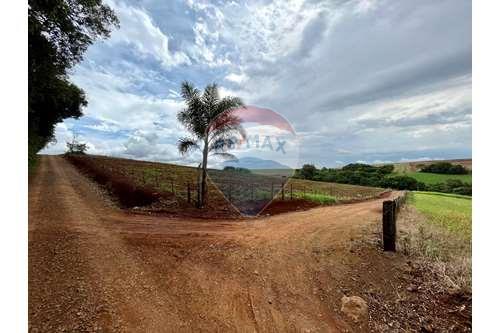 Venda-Chácara / Sítio / Fazenda-Centro , Lagoa dos Três Cantos , Rio Grande do Sul , 99495000-610271058-7