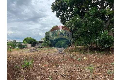 For Sale-Land-Rua Germano Gripe , 126  - Centro , Não-Me-Toque , Rio Grande do Sul , 99470000-610271057-15