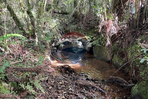 Slider Image Thumbnail