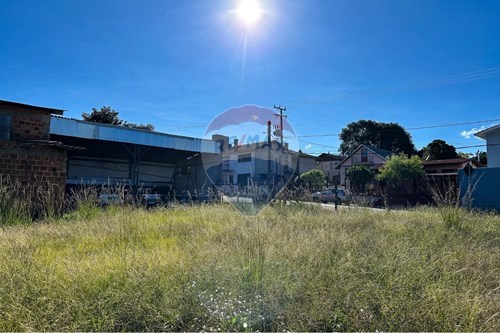 Venda-Terreno-Maximiliano de Almeida , s/n  - Oliveira , Lagoa Vermelha , Rio Grande do Sul , 95300000-610111005-239