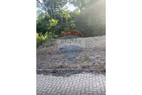 Venda-Terreno-Rua Barão do Arroio Grande , 1964  - Mercado Litasa  - Aliança , Santa Cruz do Sul , Rio Grande do Sul , 96833-002-612741003-97