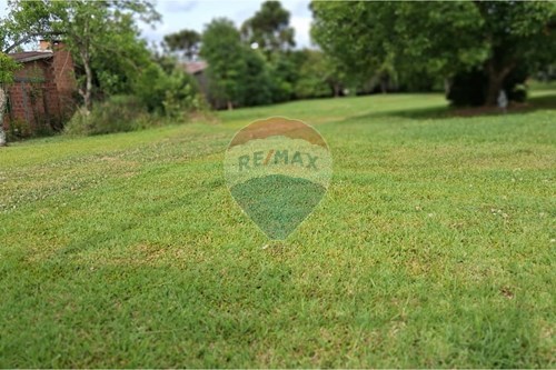 Venda-Terreno-AVENIDA BRASIL , 249  - PADARIA DONEDA  - Centro , Ibirapuitã , Rio Grande do Sul , 99320000-610271103-10