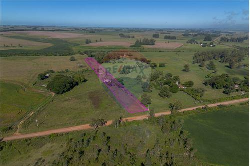 Venda-Chácara / Sítio / Fazenda-Estrada Canabarro , 000  - Distrito de Boca do Monte  - Agroindustrial , Santa Maria , Rio Grande do Sul , 97170000-610311056-76