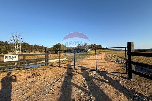 Venda-Chácara / Sítio / Fazenda-Santa Clara , 00  - Centro , São Gabriel , Rio Grande do Sul , 97300000-612631001-9