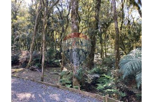 Venda-Terreno-Rua Erva Mate, , 221  - Antiga Rua 10  - Centro , São Francisco de Paula , Rio Grande do Sul , 95400000-610131051-11