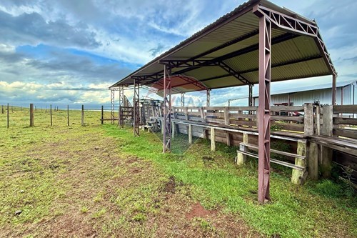 Venda-Chácara / Sítio / Fazenda-Centro , São Gabriel , Rio Grande do Sul , 97300000-612631001-65
