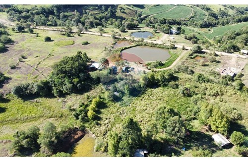 Venda-Chácara / Sítio / Fazenda-Trindade do Sul , Trindade do Sul , Rio Grande do Sul , 99615000-610231029-87