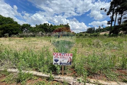 Venda-Chácara / Sítio / Fazenda-BR 153 , 03  - BOFF  - Centro , Três Arroios , Rio Grande do Sul , 99725000-612761011-58