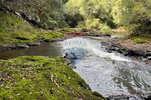 Venda-Fazenda-Estrada da Fraternidade , s/n  - Campinhas , Lagoa Vermelha , Rio Grande do Sul , 95300000-610111017-4