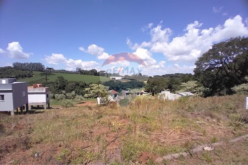 Venda-Terreno-Agrícola , Erechim , Rio Grande do Sul , 99714482-612761027-30