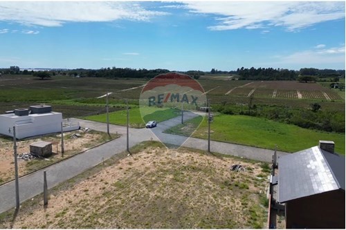Venda-Terreno-Centro , Terra de Areia , Rio Grande do Sul , 95535000-612671028-58
