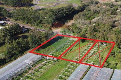 For Sale-Land-Avenida Mauá , 522  - Kartódromo  - Roselândia , Passo Fundo , Rio Grande do Sul , 99066010-610351030-17