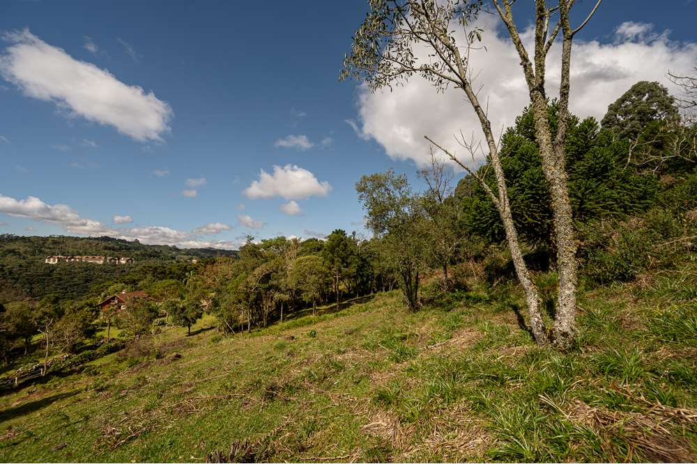 Terreno à venda, 52000000m² - Foto 8