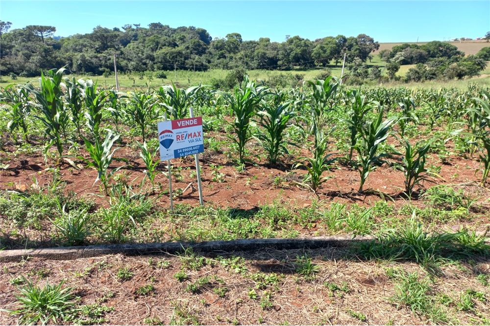 Terreno à venda, 389m² - Foto 1