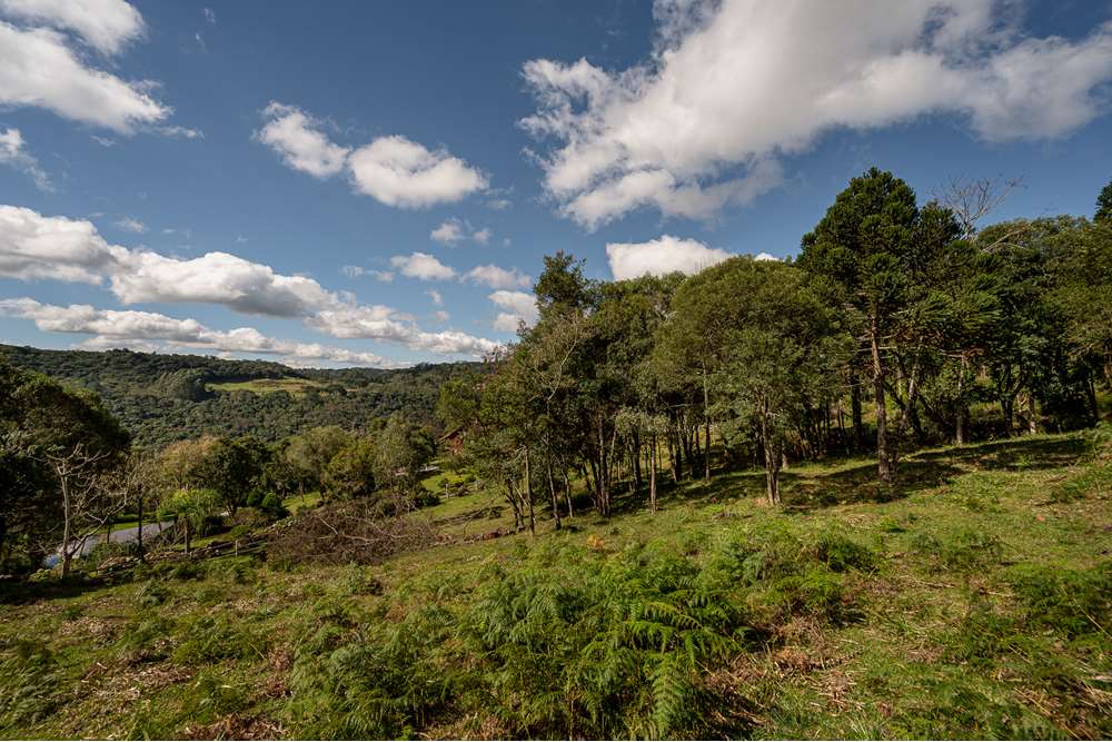 Terreno à venda, 52000000m² - Foto 18