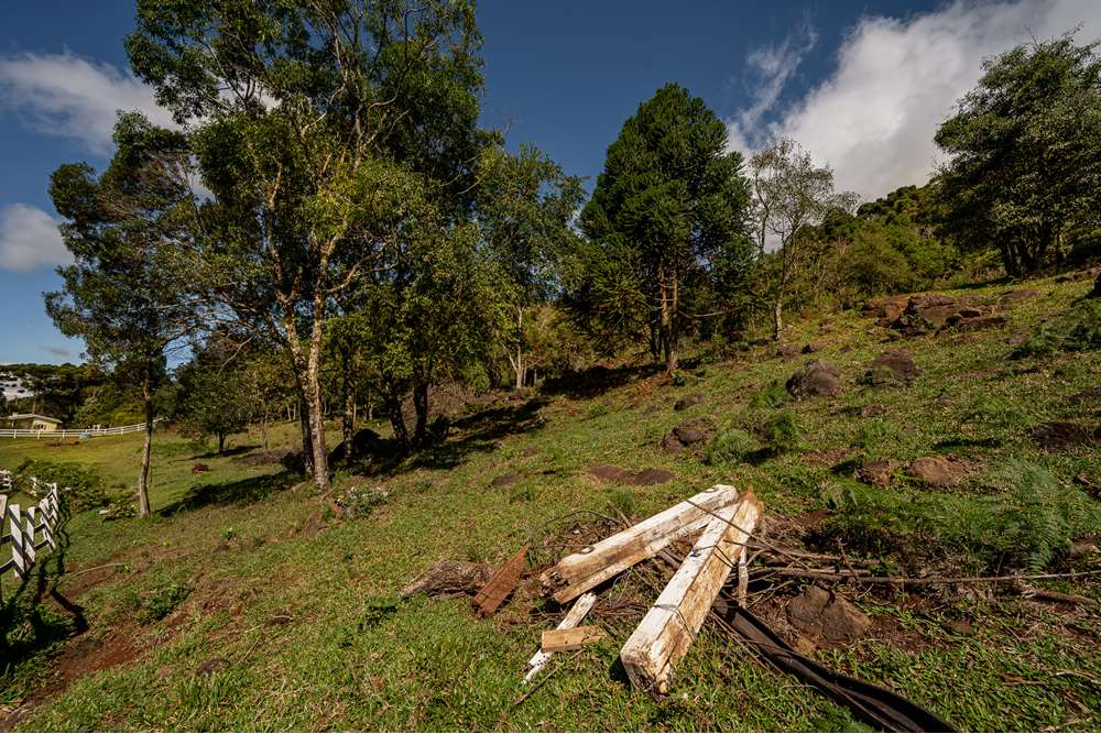 Terreno à venda, 52000000m² - Foto 14