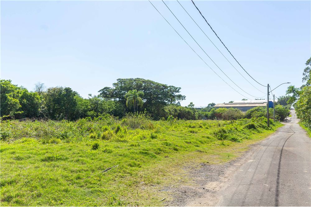 Terreno à venda, 4800m² - Foto 6