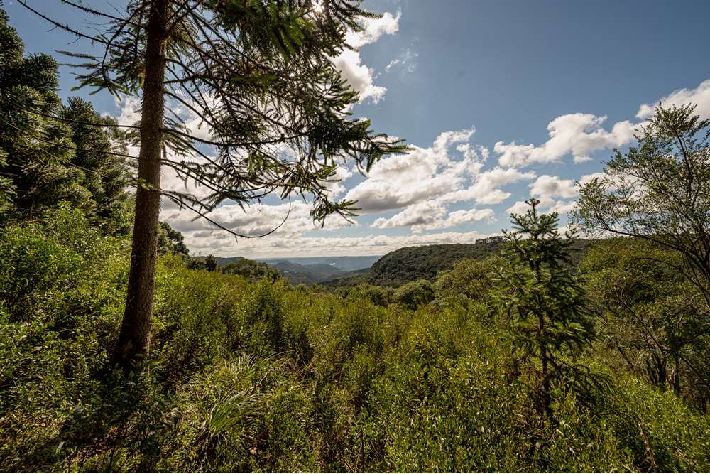 Terreno à venda, 52000000m² - Foto 19