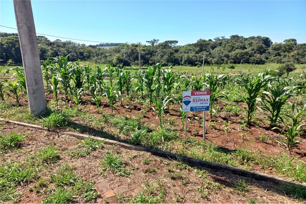 Terreno à venda, 389m² - Foto 2