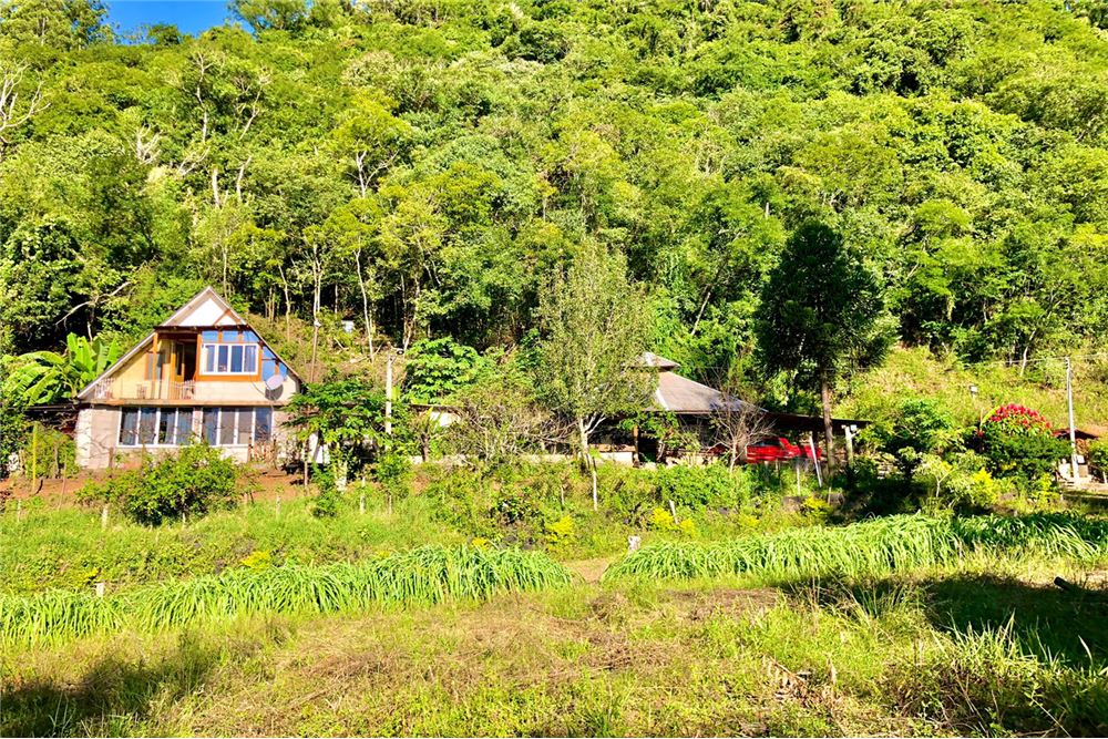 Chácara à venda com 1 quarto, 2100m² - Foto 3