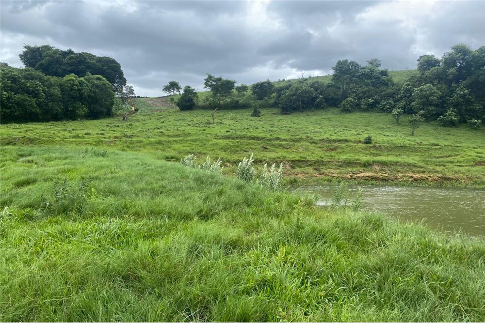 Chácara à venda com 1 quarto, 48400m² - Foto 4