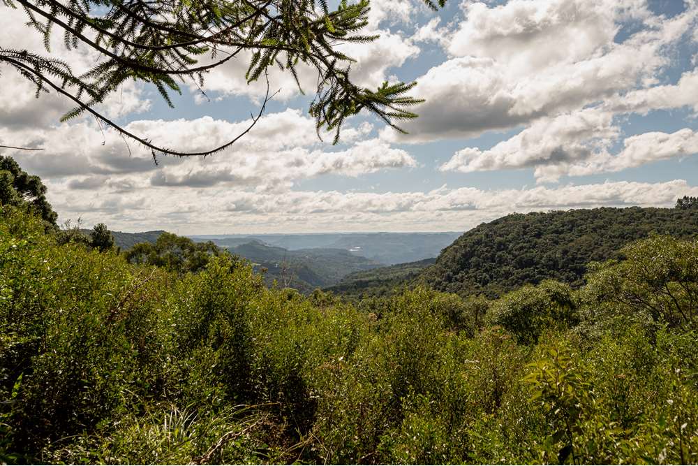 Terreno à venda, 52000000m² - Foto 21