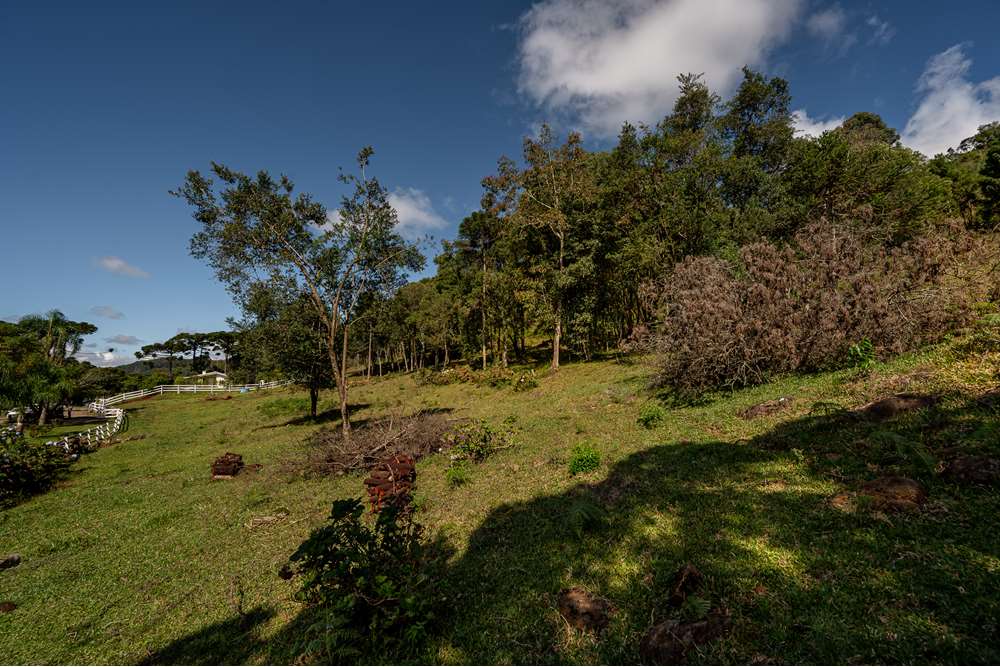 Terreno à venda, 52000000m² - Foto 9