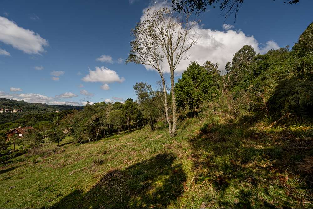 Terreno à venda, 52000000m² - Foto 7