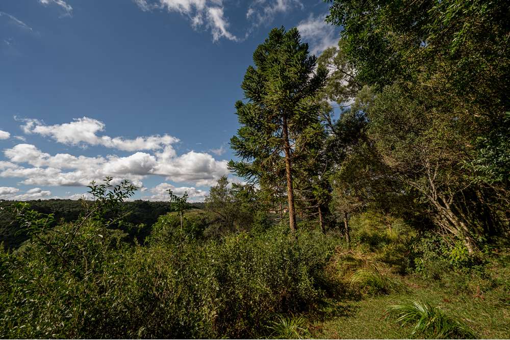 Terreno à venda, 52000000m² - Foto 22