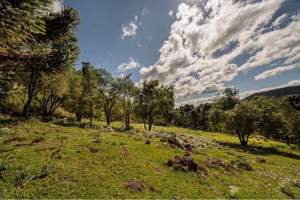 Terreno à venda, 52000000m² - Foto 16