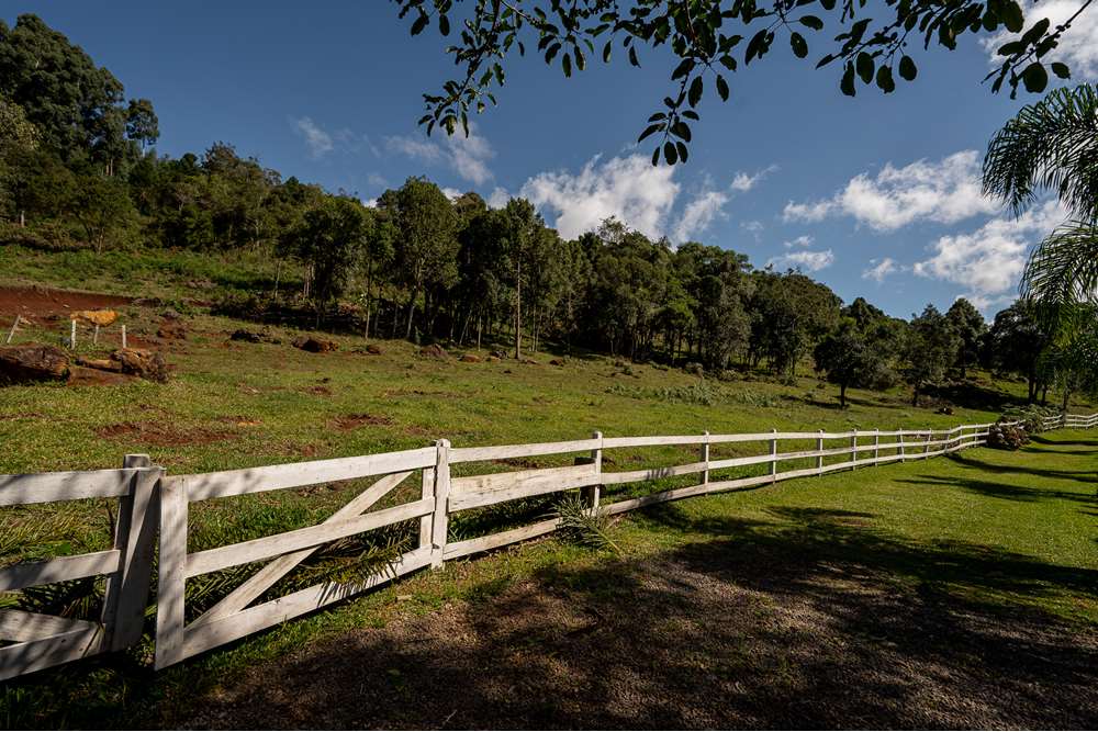 Terreno à venda, 52000000m² - Foto 1