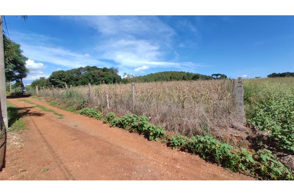 Terreno à venda, 600m² - Foto 3