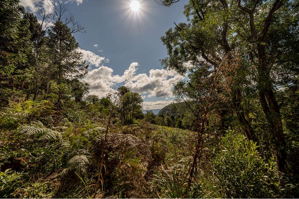 Terreno à venda, 52000000m² - Foto 11