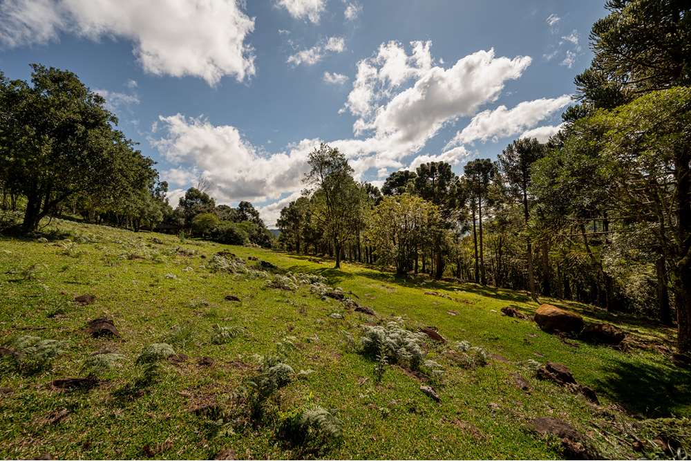 Terreno à venda, 52000000m² - Foto 12