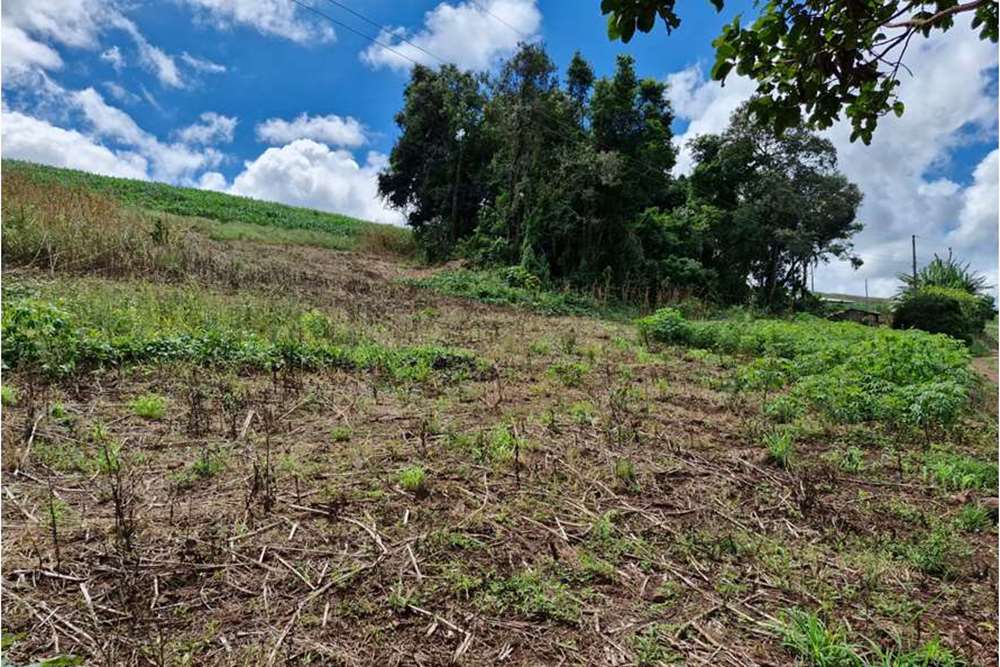 Loja-Salão à venda - Foto 2