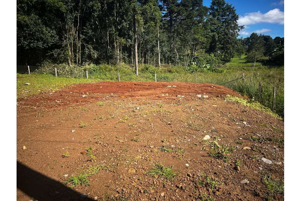 Terreno à venda - Foto 6