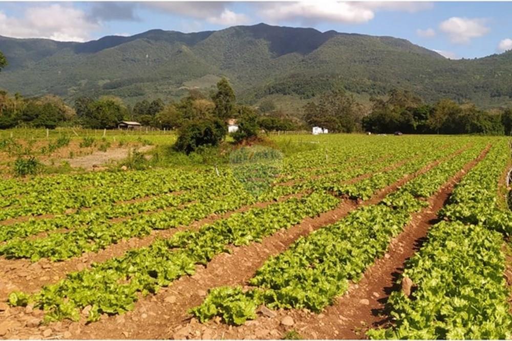 Terreno - Venda - Terra de Areia , Rio Grande do Sul - 11ec2be7-6db3-4e93-a3d3-6b7645720ce1.jpg - 612671028-46